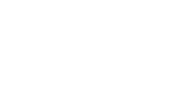 RLX-COLOR partner logo
